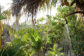 Surf Studio - SolSurf House Mita, Punta Mita (Foto 4)