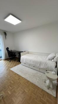 Modern Apartment in Basel, Basel (photo 4)