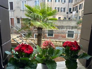 Queen Venice Apartment, Benátky (fotografie 2)
