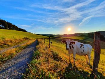 Blockhaus, Eslohe (Sauerland) (Foto 5)
