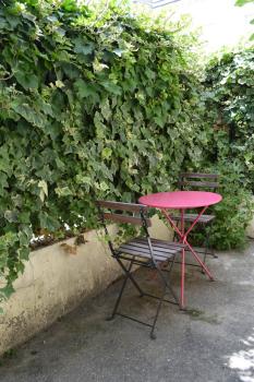 Maisonnette avec petite cour, Bordeaux (photo 2)