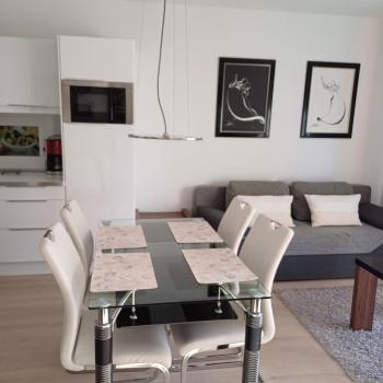 Apartament przy szlaku, Sklářská Poruba (fotografie 3)