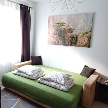 Apartament przy szlaku, Sklářská Poruba (fotografie 5)