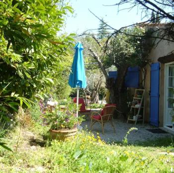 Il bambù, Valbonne (Foto 3)