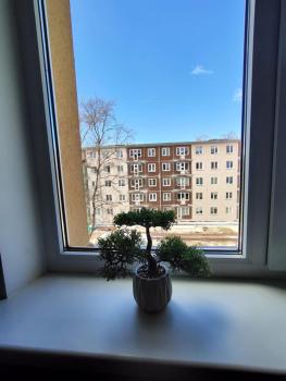 Comfortable Apartment Gerbera Tallinn, Tallin (foto 5)