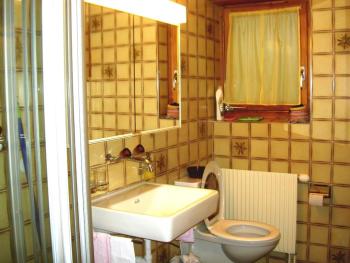 Cottage, Frutigen (photo 4)