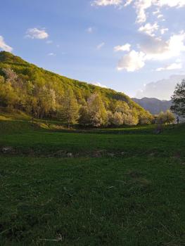 -DO- Gradac, Šavnik (zdjęcie 4)