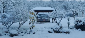 Panoramic House, Borsa (photo 4)