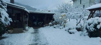 Panoramic House, Borsa (photo 2)