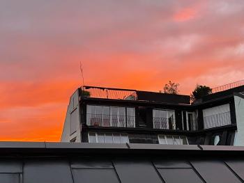 oslo, Lii (foto 2)
