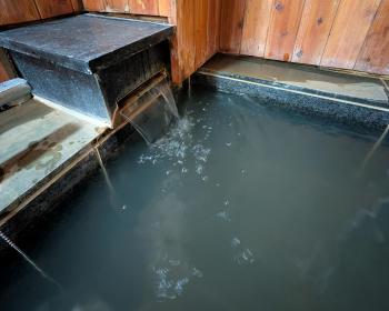 最大23名宿泊 源泉温泉 ホームシアター 客室8部屋 那須グリーン温泉, Nasu (foto 3)