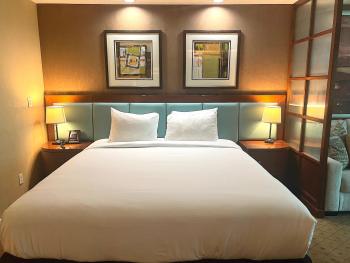 MGM Signature Tower 1 - No Resort Fee, Las Vegas (foto 4)