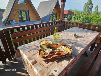 Wild A-frame, Băile Felix (Foto 5)