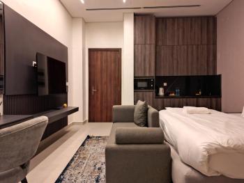Studio room in Ikeja, Лагос (фото 2)