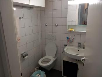 Airport Basel Apartment, Bazylea (zdjęcie 3)