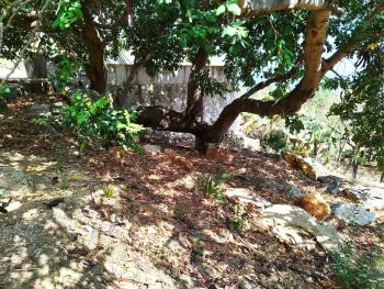 House in Nature - Zingaro Reserve - Scopello, Scopello (foto 5)