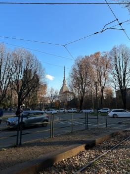 Royal Gardens Torino Centro, Turin (photo 4)