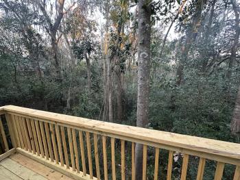 Convenient, Cozy, Cheap 5, Tallahassee (photo 3)
