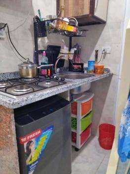 استوديو مفروش ومكيف في راس سدر -بحر رملي وحمام سباحة- للعائلات الصغيرة فقط, Ras Sedr (fotografie 3)