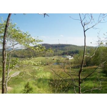 Cabin on the Hill-Peaceful 1BR 20-Acre Rural Retreat-HotTub&WiFi near Asheville, Hendersonville (Foto 4)