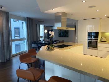 Zurich Luxury Residence 250sqm with AC & parking, Zürich (photo 5)