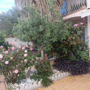 studio lumineux climatisé petit jardin et parking, Perpignan (Foto 3)