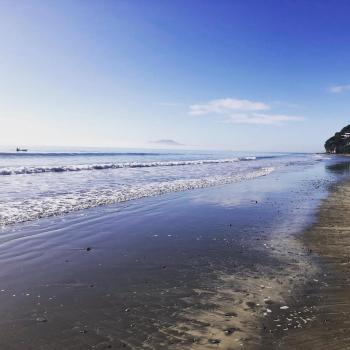 Coastal Chic - Luxury at the Beach, Auckland (fotografie 5)
