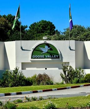 X5 on Goose, Plettenberg Bay (Foto 2)