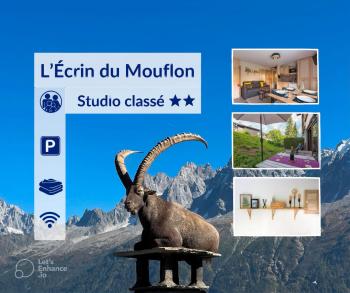 Ecrin cosy, calme, terrasse, nature et MontBlanc, Combloux (Foto 3)