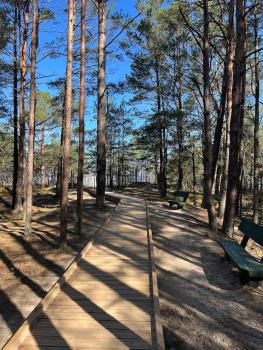 Sweethome, Jurmała (zdjęcie 5)