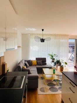 Spacious Apartment - Art Basel, Bazylea (zdjęcie 4)