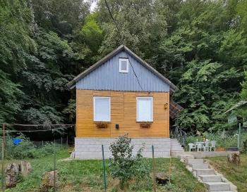 Cottage in Tskhvarichamia forest, Mtskheta (foto 3)
