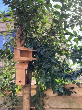 Chambre dans un appartement avec jardin, Bordeaux (Foto 2)