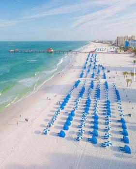Heated pool & jetted spa -- mins to beach, Clearwater (foto 3)