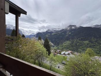Chalet Primula 3, Wengen (foto 2)