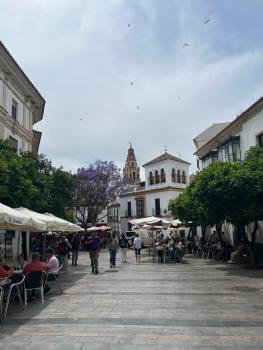Natysplace, Córdoba (photo 3)