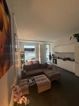 LOFT by Messe Basel with a Garden and 24h Service, Basel (Foto 4)