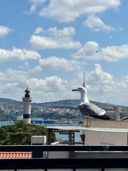 Hotel Ipekyolu, Istanbul (fotografie 4)