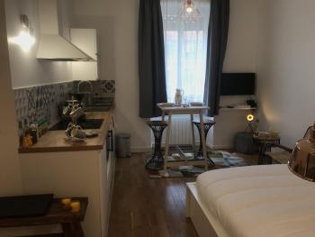 La Suite de Léon appartement D - Lyon Garibaldi, Lyon (fotografie 2)