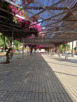 Estudio Palacio Congresos Aeropuerto, Siviglia (foto 2)