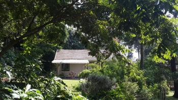 14onChapel, Hillcrest (foto 4)