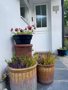 Corner Cottage, Downderry (fotografie 4)