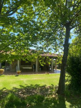 Los 11 Postes, Candeleda (photo 4)