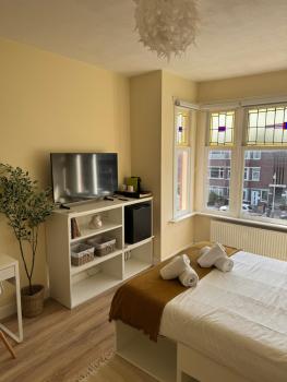 Spacious Cosy Room With Private Bathroom, La Haya (foto 2)
