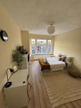 Spacious Cosy Room With Private Bathroom, La Haya (foto 3)