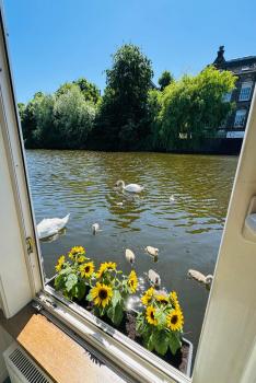 Peaceful room on a houseboat in the city centre, Amsterdam (photo 5)