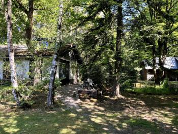 Cozy house in the middle of nature, Emst (foto 3)