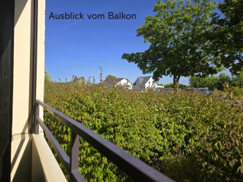Austernfischer, Wendtorf (foto 5)