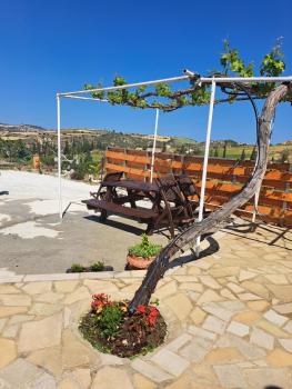 ANDRIA, Peristerona (foto 5)