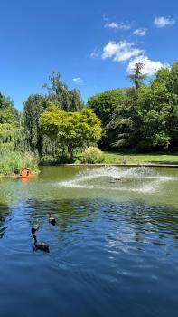 Suresnes - culture et détente, Suresnes (Foto 5)